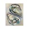 Stupell Industries Nautical Oyster Duo Wall Plaque Art Design by Daphne Polselli